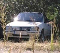 Uživatelský avatar