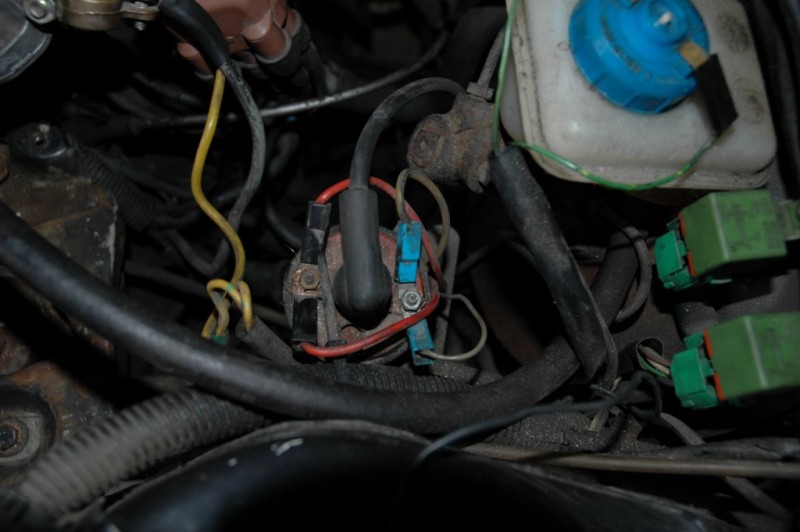 DSC_0003 [Rozlišení obrazovky].JPG