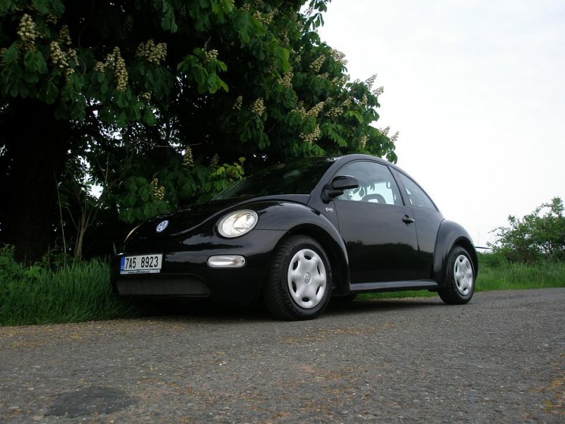 muj beetle.JPG