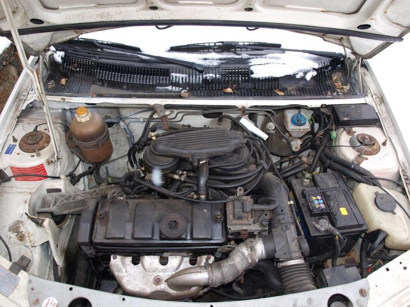 P3110828 - Kopie.JPG