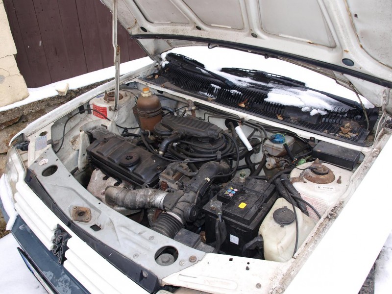 P3110829 - Kopie.JPG