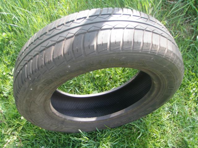 gumy barum 155 3.JPG