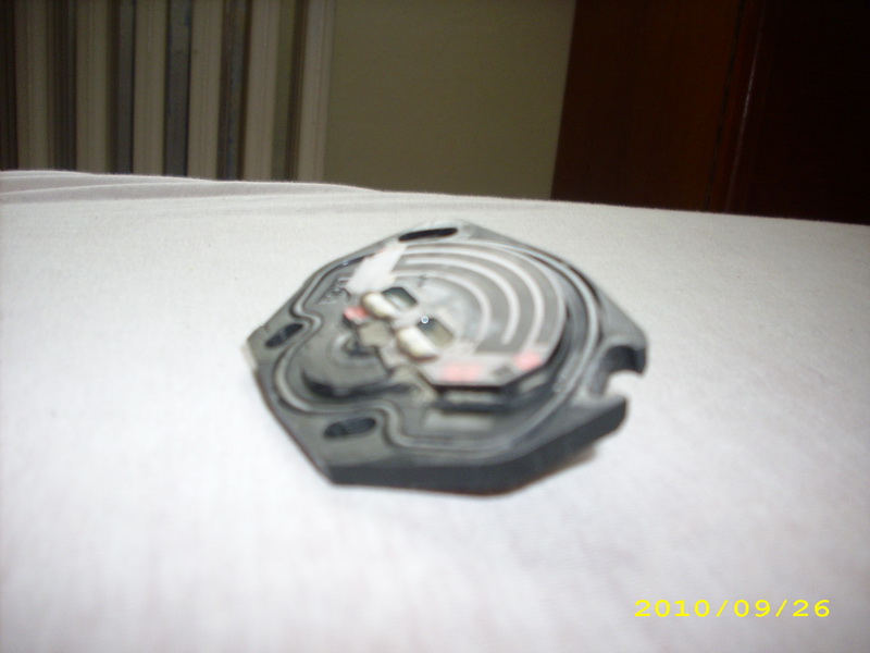 IMG_4921_zmena velikosti.JPG