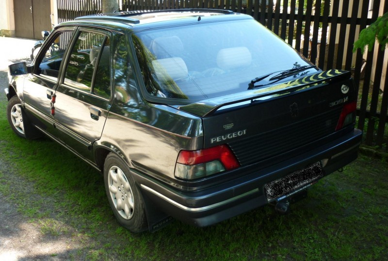 P1000253 bez SPZ.JPG