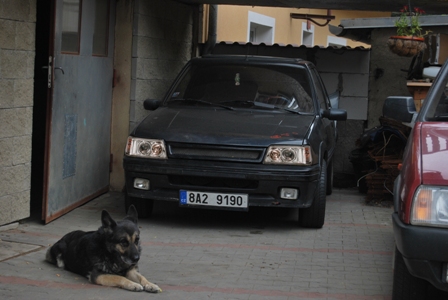 Verze s bílými světly