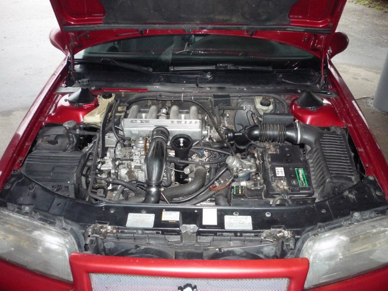 P1010406_zmena velikosti.JPG