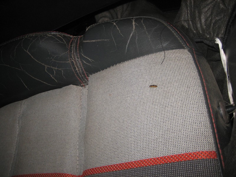 Sedačky 2011 022.jpg