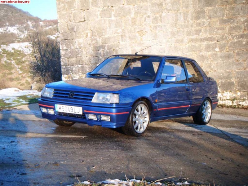 vendo-peugeot-309-gti-16v_1.jpg