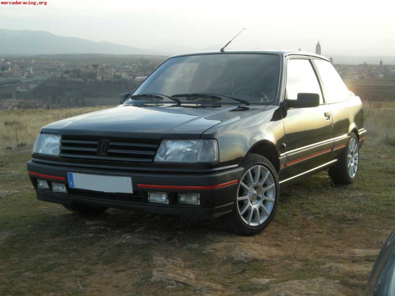 peugeot-309-gti16.jpg