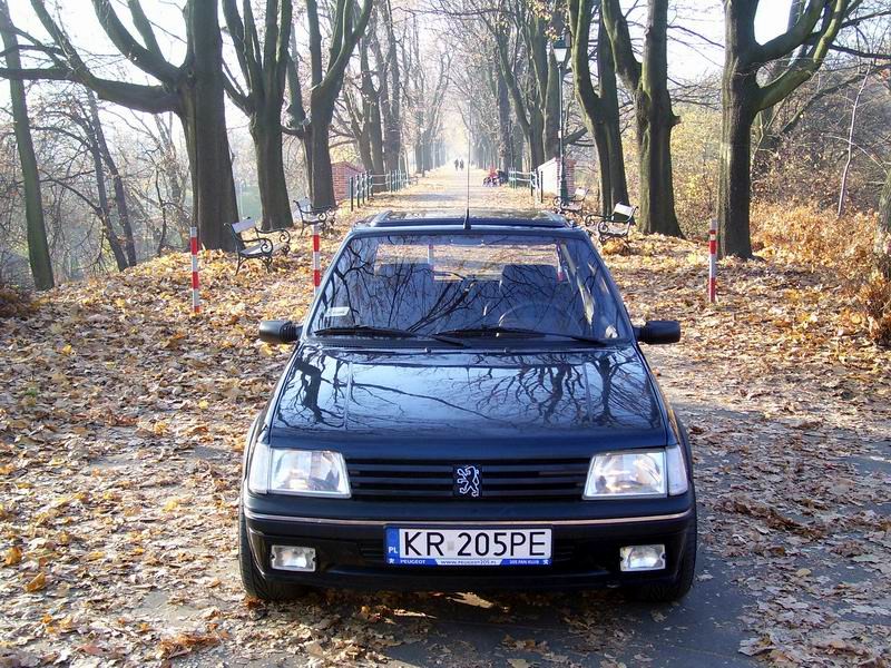 Resize of 100_8951.jpeg