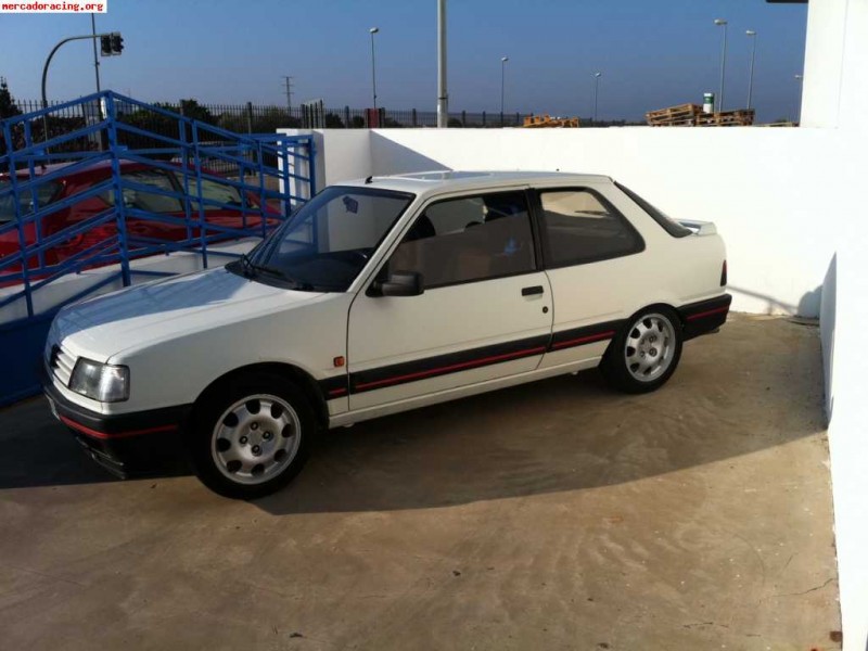 peugeot-309-gti.jpg