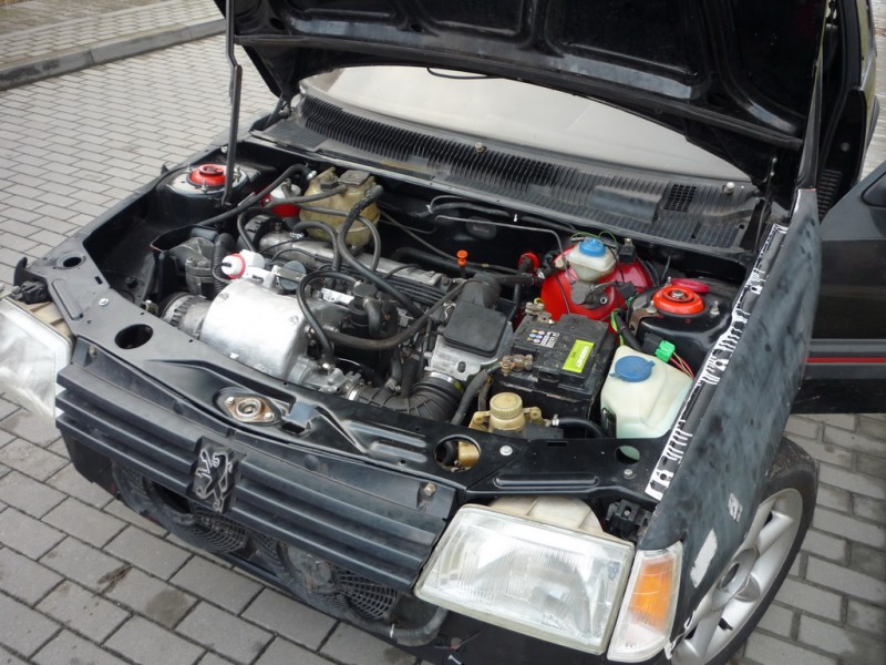 P1010697_změna velikosti.JPG