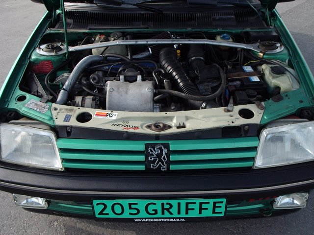 205griffe6.jpg