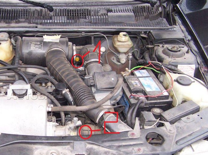 3864130_13[1] - kópia.jpg