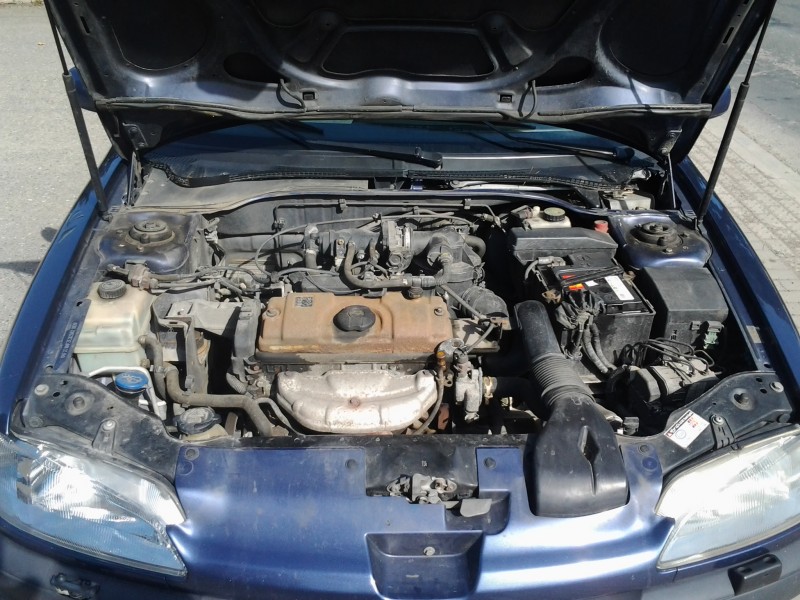 2013-03-24 13.58.55.jpg