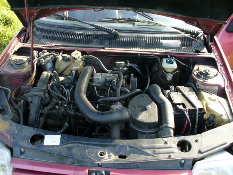 P1040435 (Large).JPG