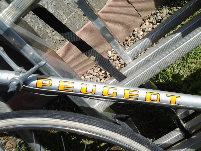 2013-08-04 15.37.30.jpg