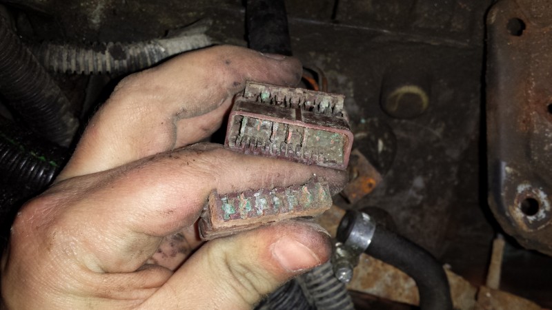 2015-11-14 20.40.38.jpg