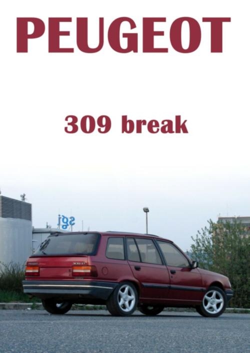 Peugeot_309_break__jpg_middle_600x600_100KB.jpg