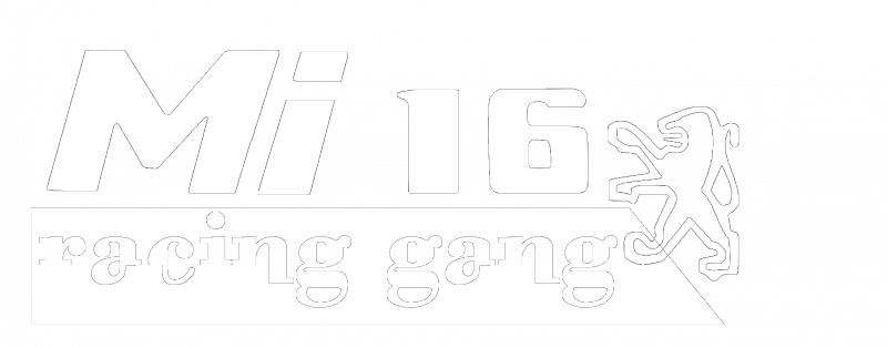 gang 1.png