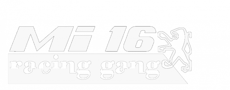 gang 1.1.png
