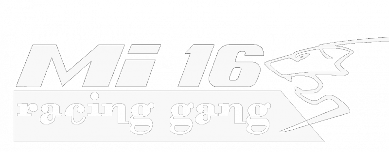 gang 1.2.png