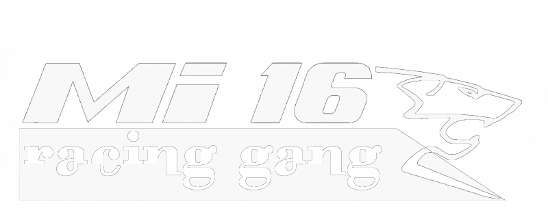 gang 1.3.png