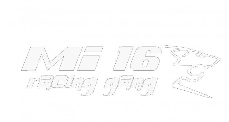 gang 2.3.png